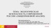 Экологическая безопасность современной России: (общеправовой анализ)