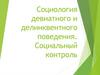 Социология девиатного и делинквентного поведения. Социальный контроль