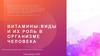 Витамины: виды и их роль в организме человека