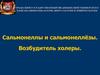Сальмонеллы и сальмонеллёзы. Возбудитель холеры