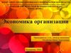 Экономика организации