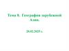 География зарубежной Азии. Тема 8