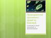 Прокаріотичні організми: археї та бактерії