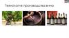 Технология производства вина