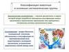 Классификация животных и основные систематические группы