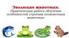 Эволюция животных. Практическая работа «Изучение особенностей строения позвоночных животных»