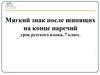 Мягкий знак после шипящих на конце наречий. Урок русского языка, 7 класс