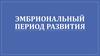 Эмбриональный период развития