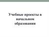 Учебные проекты в начальном образовании