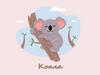 Коала
