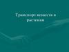 Транспорт веществ в растении