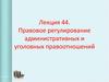 Правовое регулирование административных и уголовных правоотношений (Лекция 44)