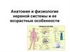 Анатомия и физиология нервной системы и ее возрастные особенности