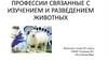 Профессии связанные с изучением и разведением животных