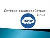 Сетевое взаимодействие Linux