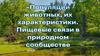 Популяции животных, их характеристики. Пищевые связи в природном сообществе