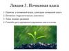 Почвенная влага. Лекция 3