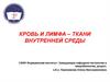 Кровь и лимфа – ткани внутренней среды