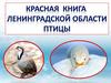 Красная книга Ленинградской области. Птицы