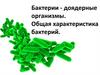 Бактерии - доядерные организмы. Общая характеристика бактерии