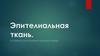 Эпителиальная ткань