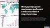 Международная миграция рабочей силы: вызовы и перспективы