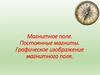 Магнитное поле. Постоянные магниты. Графическое изображение магнитного поля