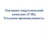 Топливно-энергетический комплекс (ТЭК). Угольная промышленность