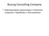 Buzurg Consulting Company