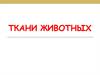 Ткани животных