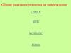 Общие реакции организма на повреждение