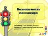 Безопасность пассажира