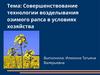 Совершенствование технологии возделывания озимого рапса в условиях хозяйства. Поиск путей совершенствования технологии
