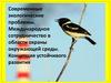 Современные экологические проблемы. Международное сотрудничество в области охраны окружающей среды