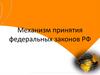 Механизм принятия федеральных законов РФ