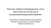 Гласные первого преудуарного слога после мягких согласных в северновеликорусском наречии