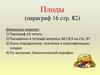 Плоды  (6 класс)