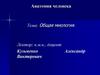 Лекция 4. Общая миология