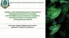 Шляхи залучення молоді до практичної природоохоронної та науковоекспериментальної роботи