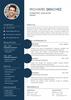 Blue Simple Professional CV Resume