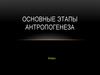 Основные этапы антропогенеза