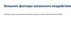 Внешние факторы косвенного воздействия. О влиянии внешней среды на развитие компании LADA