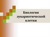 Биология эукариотической клетки
