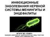 Инфекционные заболевания нервной системы: менингиты и энцефалиты