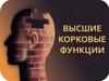 Высшие корковые функции