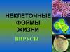 Неклеточные формы жизни