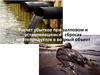 Расчет убытков при залповом и установившемся сбросах нефтепродуктов в водный объект