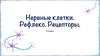 Нервные клетки. Рефлекс. Рецепторы. 9 класс