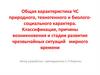 Общая характеристика ЧС природного, техногенного и биолого-социального характера. Классификация, причины возникновения и стадии
