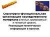 Структурно-функциональная организация наследственного материала (генный, хромосомный и геномный уровни)